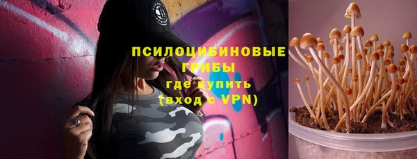 ешки Медногорск