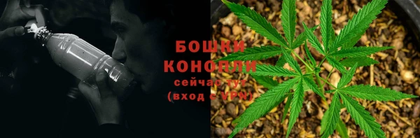дживик Михайловск