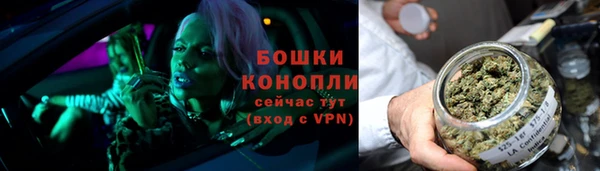соль ск Михайлов