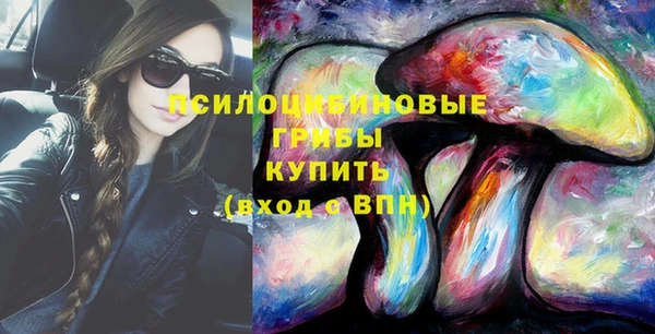 дживик Михайловск