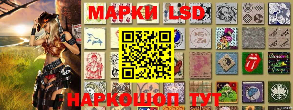 Наркотические марки 1500мкг  Вход с VPN  Наркотические марки 1500мкг  Малгобек 