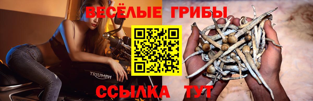 Псилоцибиновые грибы Magic Shrooms Малгобек